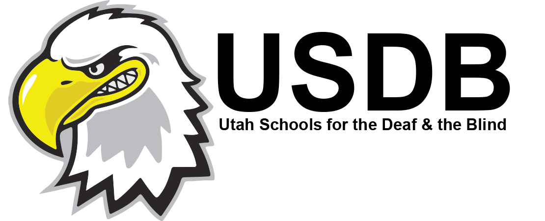 usdb logo rough.jpg